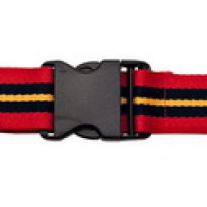 Stable Belts
